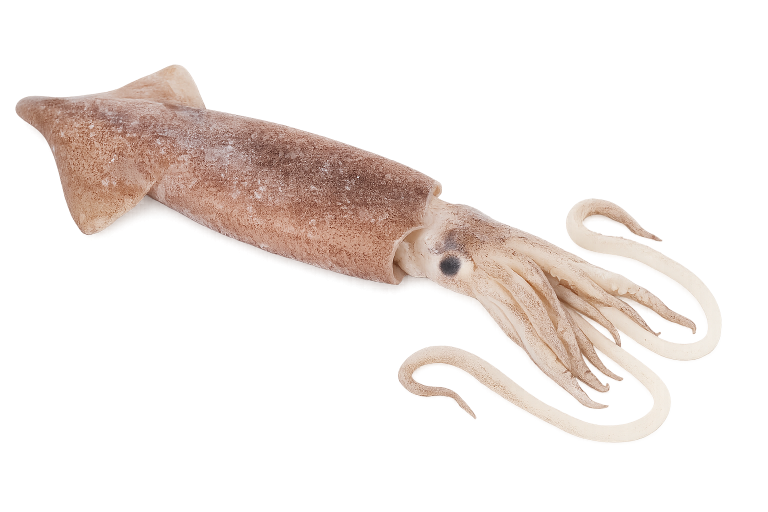 Home chatgpt image 23 oct 2025 16 33 23